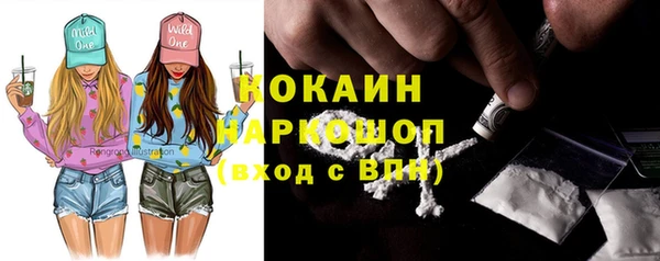 бошки Алексин