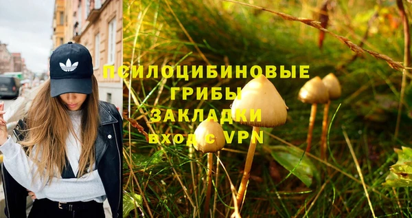 гашишное масло Алексеевка