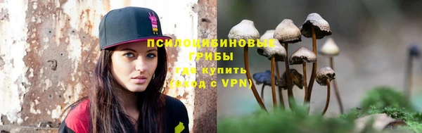 бошки Алексин